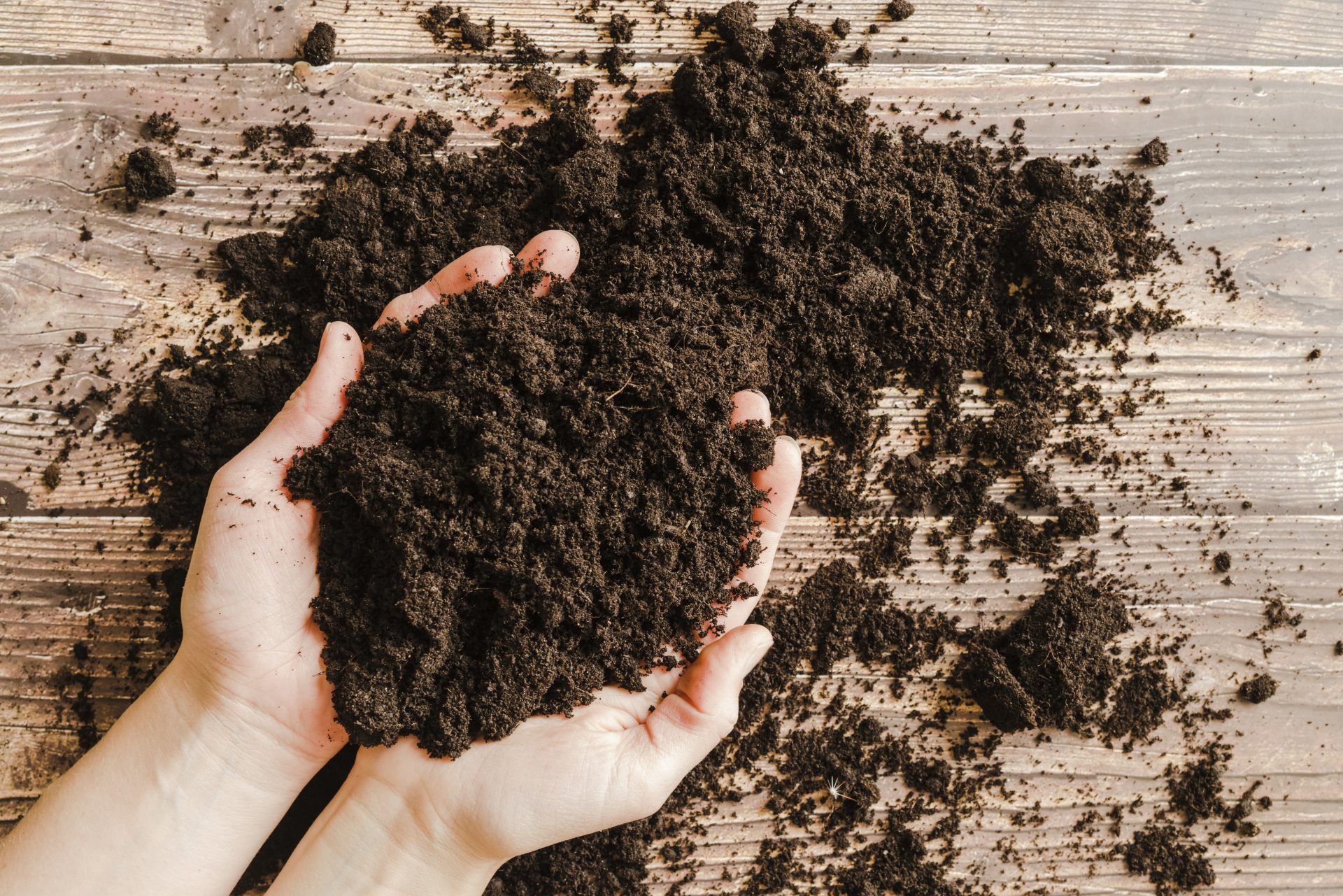 Как сделать почву в домашних условиях. Торф низинный. Торф Торфяная почва. Почва в руках. Почва в ладонях.