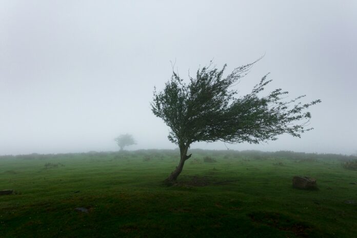 Angin sebagai Tentara Allah: Tafsir Fenomena Meteorologi dalam Alquran