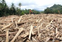 Q.S Arrum (41): Makna La’allahum Yarji’ūn sebagai Panggilan Taubat Ekologis