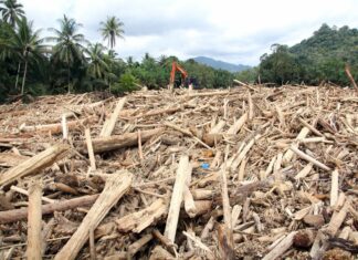Q.S Arrum (41): Makna La’allahum Yarji’ūn sebagai Panggilan Taubat Ekologis