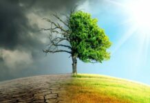 Pelaku Perusakan Alam dalam Tafsir Surah Al-Baqarah Ayat 204–205 Pelaku perusakan alam_tafsir surah al-Baqarah ayat 204-205