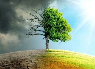 Pelaku Perusakan Alam dalam Tafsir Surah Al-Baqarah Ayat 204–205 Pelaku perusakan alam_tafsir surah al-Baqarah ayat 204-205