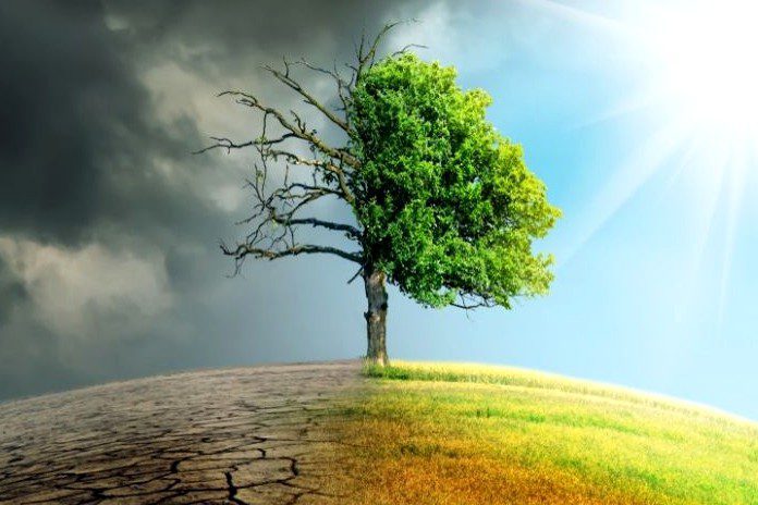 Pelaku perusakan alam_tafsir surah al-Baqarah ayat 204-205