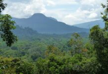 Konsep ‘Hima’’ dan ‘Harim’ sebagai Tradisi Konservasi Islami konsep hima dan harim dalam konservasi islami