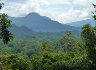 Konsep ‘Hima’’ dan ‘Harim’ sebagai Tradisi Konservasi Islami konsep hima dan harim dalam konservasi islami