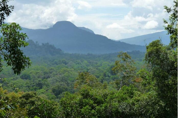 konsep hima dan harim dalam konservasi islami